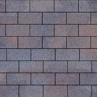  Тротуарный камень Steinrus Прямоугольник Лайн 200х100х60 мм Каспий BackWash: внешний вид